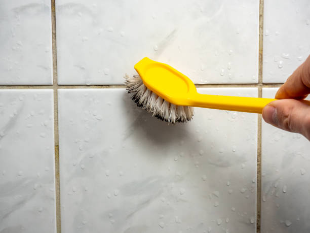Trusted Ives Estates, FL Mold Removal Experts